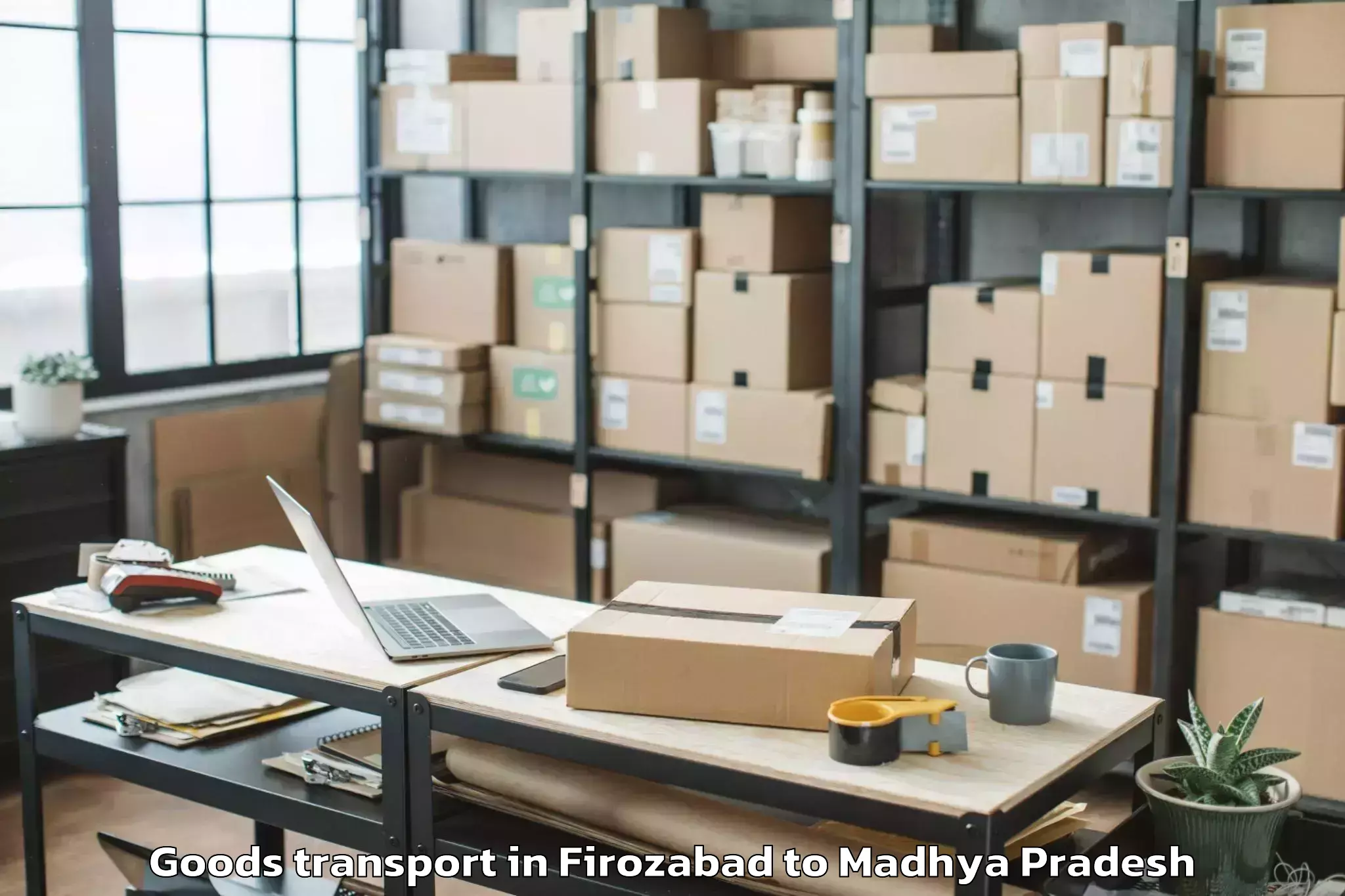 Top Firozabad to Lodhikheda Goods Transport Available